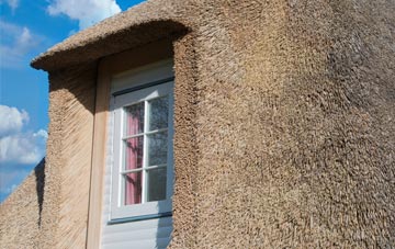 Dunveth thatch roof disadvantages